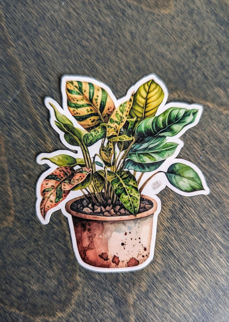 Croton Petra Houseplant Stickers, Potted Plant Stickers