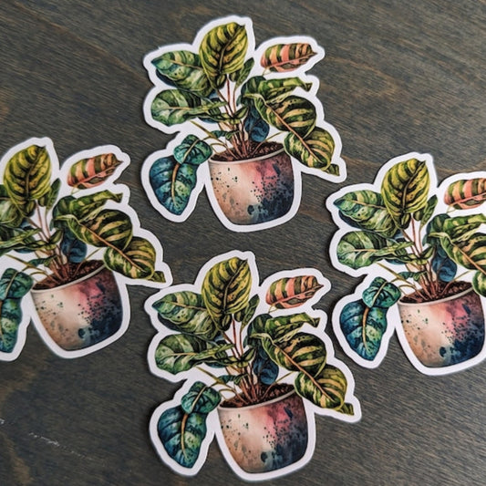 Croton Petra Houseplant Stickers, Potted Plant Stickers, Laptop Sticker