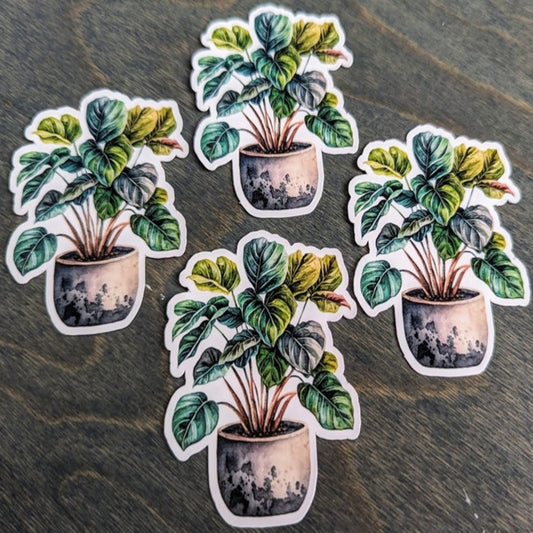 Houseplant Stickers, Potted Plant Stickers