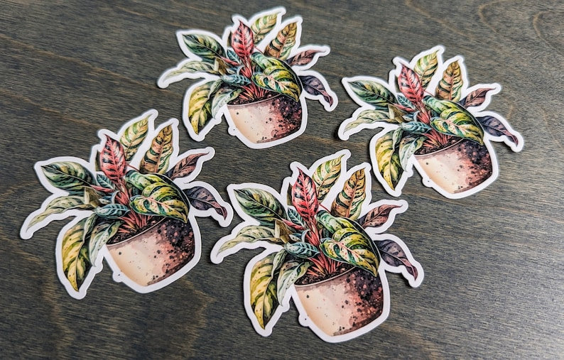 Croton Petra Houseplant Stickers, Potted Plant Stickers, Laptop Sticker