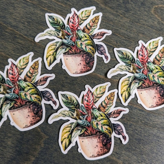 Croton Petra Houseplant Stickers, Potted Plant Stickers, Laptop Sticker