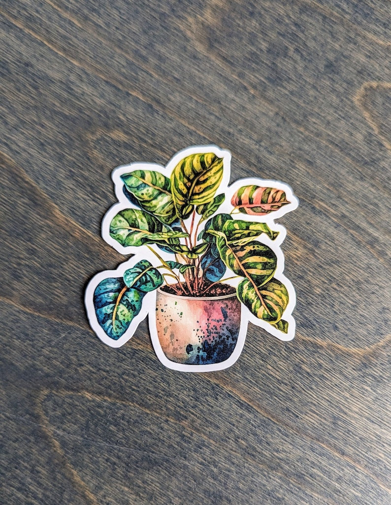 Croton Petra Houseplant Stickers, Potted Plant Stickers, Laptop Sticker