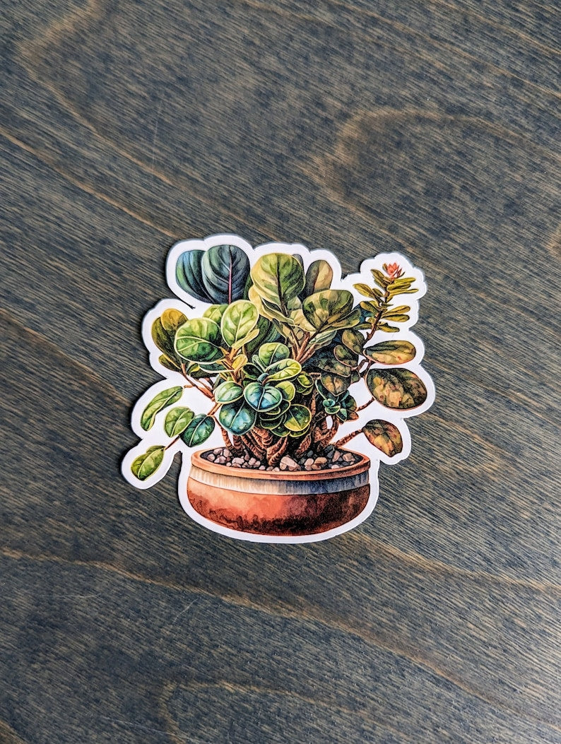 Houseplant Stickers, Potted Plant Stickers. Indoor Plant