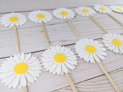 Set of 24 Daisy Cupcake Toppers -Food Picks - 2" Daisy Toppers (White)