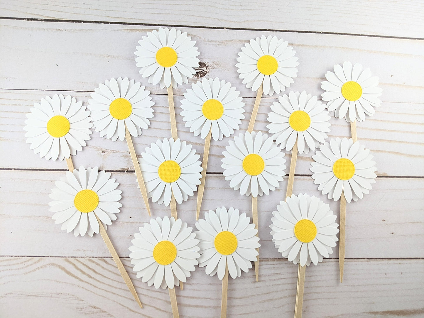 Set of 24 Daisy Cupcake Toppers -Food Picks - 2" Daisy Toppers (White)